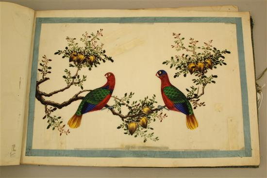 A Chinese album of eight pith paintings of birds and two of a procession of boats, 19th century, 25 x 37cm